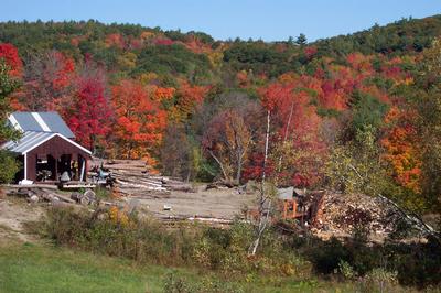 Millyard in fall